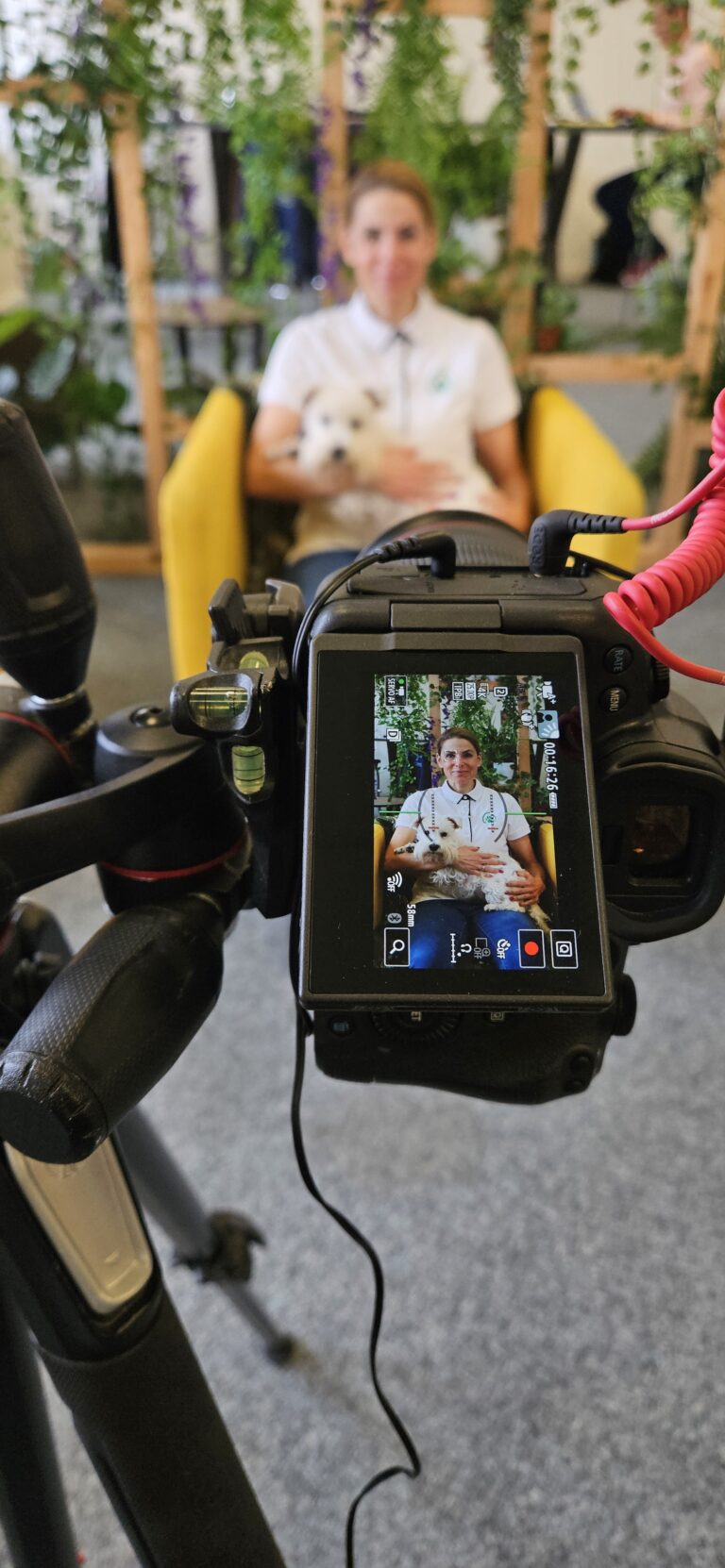 Caméra d’Osmose Marketing filmant une interview dans un décor végétal, écran de contrôle au premier plan